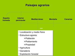 Paisajes agrariosPaisajes agrarios
EspañaEspaña
húmedahúmeda
InteriorInterior
peninsularpeninsular
MediterráneoMediterráneo CanariasCanariasMontañaMontaña
• Localización y medio físico
• Estructura agraria:
Población
Poblamiento
Propiedad
• Agricultura
• Ganadería
• Explotación forestal
• Localización y medio físico
• Estructura agraria:
Población
Poblamiento
Propiedad
• Agricultura
• Ganadería
• Explotación forestal
con
 