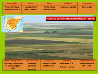 Localización Relieve Clima Población Poblamiento
Ambas Mesetas y
Depresión del Ebro
Elevada altitud
media (Meseta)
Mediterráneo
continentalizado
Escasa y envejecida Concentrado
PAISAJE ESPAÑA MEDITERRÁNEA INTERIOR
Sistema de explotación Usos del suelo Agricultura Ganadería Explotación forestal
Latifundios. Minifundios
en Duero y regadíos
Ebro
Agrícola y
ganadero
Openfield
Extensiva. Trilogía
mediterránea
Dehesas en el W.
Ovina en secanos
Escasa importancia,
salvo Soria
 