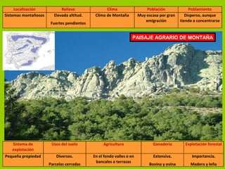 Localización Relieve Clima Población Poblamiento
Sistemas montañosos Elevada altitud.
Fuertes pendientes
Clima de Montaña Muy escasa por gran
emigración
Disperso, aunque
tiende a concentrarse
PAISAJE AGRARIO DE MONTAÑA
Sistema de
explotación
Usos del suelo Agricultura Ganadería Explotación forestal
Pequeña propiedad Diversos.
Parcelas cerradas
En el fondo valles o en
bancales o terrazas
Extensiva.
Bovina y ovina
Importancia.
Madera y leña
 