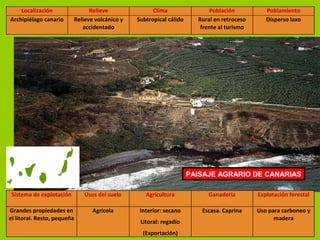 Localización Relieve Clima Población Poblamiento
Archipiélago canario Relieve volcánico y
accidentado
Subtropical cálido Rural en retroceso
frente al turismo
Disperso laxo
PAISAJE AGRARIO DE CANARIAS
Sistema de explotación Usos del suelo Agricultura Ganadería Explotación forestal
Grandes propiedades en
el litoral. Resto, pequeña
Agrícola Interior: secano
Litoral: regadío
(Exportación)
Escasa. Caprina Uso para carboneo y
madera
 