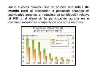 Junto a estos nuevos usos se aprecia una crisis del
mundo rural al descender la población ocupada en
actividades agrarias, al reducirse su contribución relativa
al PIB y al disminuir la participación agraria en el
comercio exterior en comparación con otros sectores.
 
