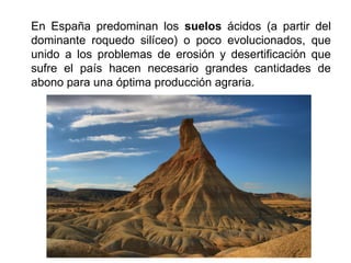 En España predominan los suelos ácidos (a partir del
dominante roquedo silíceo) o poco evolucionados, que
unido a los problemas de erosión y desertificación que
sufre el país hacen necesario grandes cantidades de
abono para una óptima producción agraria.
 