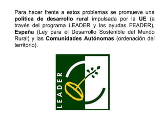 Para hacer frente a estos problemas se promueve una
política de desarrollo rural impulsada por la UE (a
través del programa LEADER y las ayudas FEADER),
España (Ley para el Desarrollo Sostenible del Mundo
Rural) y las Comunidades Autónomas (ordenación del
territorio).
 