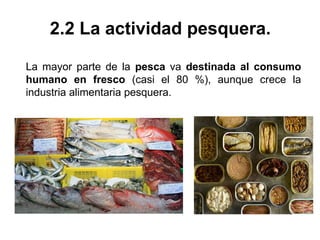 2.2 La actividad pesquera.
La mayor parte de la pesca va destinada al consumo
humano en fresco (casi el 80 %), aunque crece la
industria alimentaria pesquera.
 