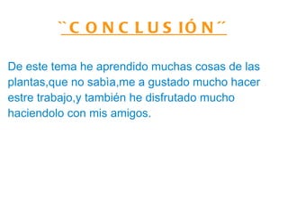 ``CONCLUSIÓN´´ De este tema he aprendido muchas cosas de las plantas,que no sabìa,me a gustado mucho hacer estre trabajo,y también he disfrutado mucho haciendolo con mis amigos. 