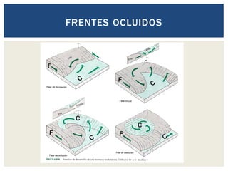 FRENTES OCLUIDOS
 