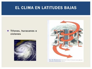 EL CLIMA EN LATITUDES BAJAS
Tifones, huracanes o
ciclones
 