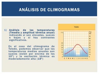 1) Análisis de las temperaturas
(Tmedia y amplitud térmica anual)
indicando si son elevadas, suaves
o bajas y si hay contrastes
significativos.
En el caso del climograma de
Toledo, podemos observar que las
temperaturas medias anuales son
suaves (están por encima de los
10º) y la oscilación térmica es
moderadamente alta (18º)
ANÁLISIS DE CLIMOGRAMAS
 