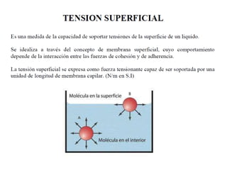 Presentacion tension superficial_y_capilaridad (1)