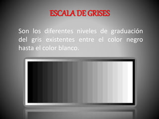 ESCALA DE GRISES 
Son los diferentes niveles de graduación 
del gris existentes entre el color negro 
hasta el color blanco. 
