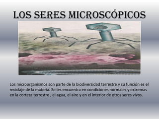 Los seres microscópicos
Los microorganismos son parte de la biodiversidad terrestre y su función es el
reciclaje de la materia. Se les encuentra en condiciones normales y extremas
en la corteza terrestre , el agua, el aire y en el interior de otros seres vivos.
 