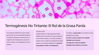PRESENTACION TERMORREGULACION DEL CUERPO.pptx