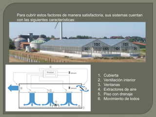 Para cubrir estos factores de manera satisfactoria, sus sistemas cuentan
con las siguientes características:
1. Cubierta
2. Ventilación interior
3. Ventanas
4. Extractores de aire
5. Piso con drenaje
6. Movimiento de lodos
 