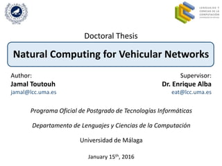 Doctoral Thesis
Natural Computing for Vehicular Networks
Programa Oficial de Postgrado de Tecnologías Informáticas
Departa...