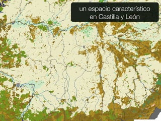 un espacio característico
   en Castilla y León
 