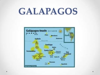 GALAPAGOS
 