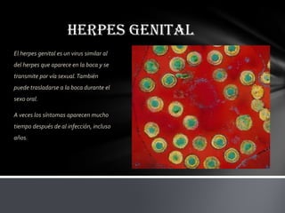 HERPES GENITAL
El herpes genital es un virus similar al
del herpes que aparece en la boca y se
transmite por vía sexual. También
puede trasladarse a la boca durante el
sexo oral.

A veces los síntomas aparecen mucho
tiempo después de al infección, incluso
años.
 