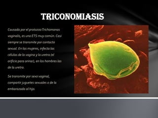 TRICONOMIASIS
Causada por el protozoo Trichomonas
vaginalis, es una ETS muy común. Casi
siempre se transmite por contacto
sexual. En las mujeres, infecta las
células de la vagina y la uretra (el
orificio para orinar), en los hombres las
de la uretra.

Se transmite por sexo vaginal,
compartir juguetes sexuales o de la
embarazada al hijo.
 