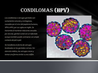 CONDILOMAS (HPV)
Los condilomas o verrugas genitales son
sumamente comunes y contagiosas,
causadas por el virus del papiloma humano,
VPH o HPV, por sus siglas en inglés. Se
transmite al mantener relaciones sexuales
por vía oral, genital o anal con un infectado
aunque también puede contraerse con simple
contacto de piel a piel.

Se manifiesta en forma de verrugas
localizadas en los genitales o el ano. Sin
atención médica, las verrugas crecen y
toman una forma similar a una coliflor.
 