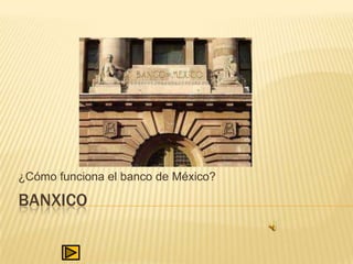 ¿Cómo funciona el banco de México?

BANXICO
 