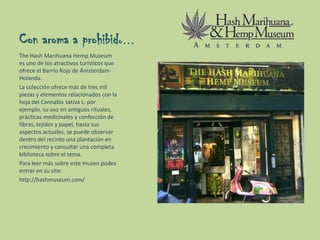 Con aroma a prohibido…
The Hash Marihuana Hemp Museum
es uno de los atractivos turísticos que
ofrece el Barrio Rojo de Ámsterdam-
Holanda.
La colección ofrece más de tres mil
piezas y elementos relacionados con la
hoja del Cannabis sativa L: por
ejemplo, su uso en antiguos rituales,
prácticas medicinales y confección de
fibras, tejidos y papel, hasta sus
aspectos actuales, se puede observar
dentro del recinto una plantación en
crecimiento y consultar una completa
biblioteca sobre el tema.
Para leer más sobre este museo podes
entrar en su site:
http://hashmuseum.com/
 