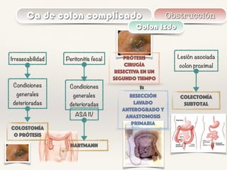 Ca de colon complicado Obstrucción
Colon Izdo
Irresecabilidad Peritonitis fecal Prótesis
Cirugía
resectiva en un
segundo tiempo
Lesión asociada
colon proximal
Colostomía
o prótesis
Condiciones
generales
deterioradas
Condiciones
generales
deterioradas
ASA IV
HARTMANN
Colectomía
subtotal
Resección
lavado
anterogrado y
anastomosis
primaria
Vs
 