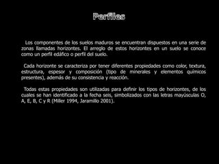 Los componentes de los suelos maduros se encuentran dispuestos en una serie de
zonas llamadas horizontes. El arreglo de estos horizontes en un suelo se conoce
como un perfil edáfico o perfil del suelo.

 Cada horizonte se caracteriza por tener diferentes propiedades como color, textura,
estructura, espesor y composición (tipo de minerales y elementos químicos
presentes), además de su consistencia y reacción.

 Todas estas propiedades son utilizadas para definir los tipos de horizontes, de los
cuales se han identificado a la fecha seis, simbolizados con las letras mayúsculas O,
A, E, B, C y R (Miller 1994, Jaramillo 2001).
 