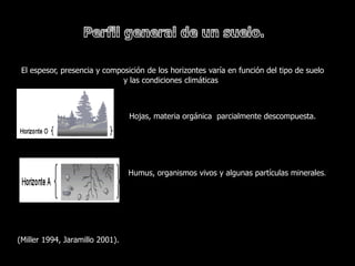 El espesor, presencia y composición de los horizontes varía en función del tipo de suelo
                              y las condiciones climáticas



                                 Hojas, materia orgánica parcialmente descompuesta.




                                 Humus, organismos vivos y algunas partículas minerales.




(Miller 1994, Jaramillo 2001).
 