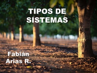 TIPOS DE
SISTEMAS
Fabián
Arias R.
 