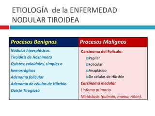 ETIOLOGÍA de la ENFERMEDAD 
NODULAR TIROIDEA 
Procesos Benignos Procesos Malignos 
Nódulos hiperplásicos. 
Carcinoma del Folículo: 
Tiroiditis de Hashimoto 
Papilar 
Quistes: coloidales, simples o 
Folicular 
hemorrágicos 
Anaplásico 
Adenoma folicular 
De células de Hürthle 
Adenoma de células de Hürthle. 
Quiste Tirogloso 
Carcinoma medular 
Linfoma primario 
Metástasis (pulmón, mama, riñón). 
 