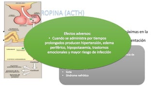 • Se libera en pulsos con un ritmo diurno, alcanzando concentraciones máximas en la
madrugada y mínimas por la noche.
• El estrés estimula su secreción y el cortisol la suprime mediante retroalimentación
negativa.
 