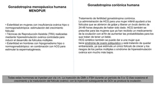 Gonadotropina menopáusica humana
MENOPUR
• Esterilidad en mujeres con insuficiencia ovárica hipo o
normogonadotrópica: estimulación del crecimiento
folicular.
• Técnicas de Reproducción Asistida (TRA) realizadas
mediante hiperestimulación ovárica controlada para
inducir el desarrollo de folículos múltiples
• Esterilidad en hombres con hipogonadismo hipo o
normogonadotrópico: en combinación con hCG para
estimular la espermatogénesis.
Todas estas hormonas se inyectan por vía i.m. La inyección de GMh o FSH durante un período de 5 a 12 días ocasiona el
crecimiento y la maduración del folículo ovárico; con la inyección subsiguiente de GCh se produce la ovulación.
Tratamiento de fertilidad gonadotropina coriónica.
La administración de HCG para una mujer infértil ayudará a los
folículos que se abrieron de golpe y liberar un óvulo dentro de
24-48 horas después de haber sido dado. HCG también se
prescribe para las mujeres que ya han recibido un medicamento
de la ovulación con el fin de aumentar las probabilidades para los
que tratan de tener un bebé.
HCG sintético también se puede dar a una mujer que
tiene síndrome de ovario poliquístico y está tratando de quedar
embarazada, ya que estimula un único folículo de crecer y los
riesgos de los partos múltiples o síndrome de hiperestimulación
ovárica son mucho más bajos.
Gonadotropina coriónica humana
 