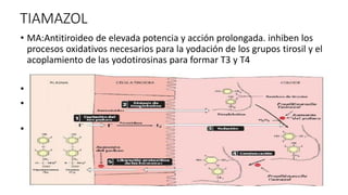TIAMAZOL
• MA:Antitiroideo de elevada potencia y acción prolongada. inhiben los
procesos oxidativos necesarios para la yodación de los grupos tirosil y el
acoplamiento de las yodotirosinas para formar T3 y T4
• Usos: Tratamiento médico del hipertiroidismo.
• Preparación para tiroidectomía subtotal o tratamiento con yodo
radiactivo
• tto. profiláctico en pacientes con hipertiroidismo subclínico, adenomas
autónomos o antecedentes de hipertiroidismo, en los que la exposición
al yodo es indispensable
 