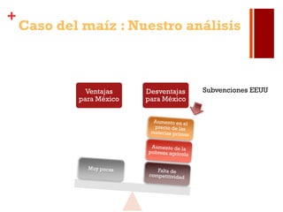 +
Caso del maíz : Nuestro análisis
Ventajas
para México
Desventajas
para México
Subvenciones EEUU
 