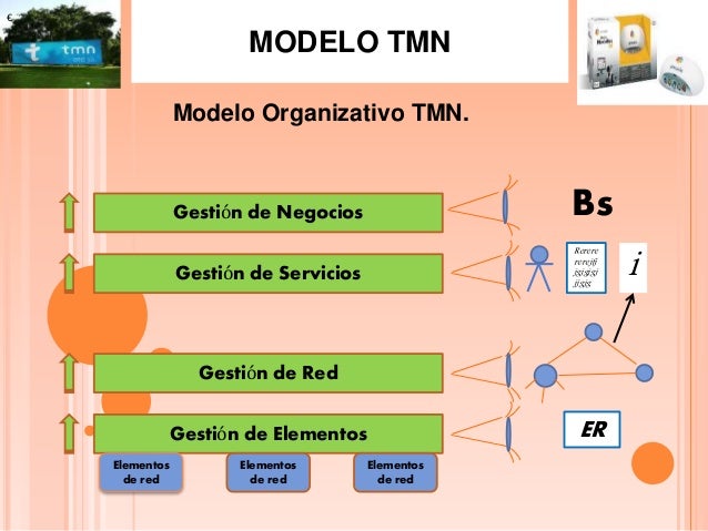Resultado de imagen para modelo organizativo tmn