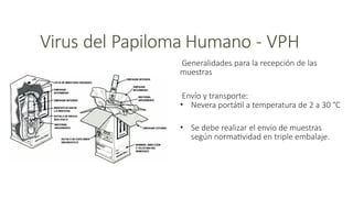 Vph2 Model Comprehensive Guide to HPV Sample Collection and Cervical Cancer ...