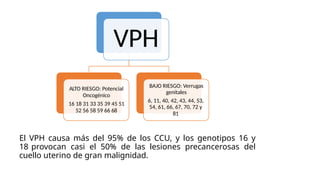 Vph2 Model Comprehensive Guide to HPV Sample Collection and Cervical Cancer ...
