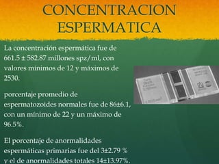 CONCENTRACION 
ESPERMATICA 
La concentración espermática fue de 
661.5 ± 582.87 millones spz/ml, con 
valores mínimos de 12 y máximos de 
2530. 
porcentaje promedio de 
espermatozoides normales fue de 86±6.1, 
con un mínimo de 22 y un máximo de 
96.5%. 
El porcentaje de anormalidades 
espermáticas primarias fue del 3±2.79 % 
y el de anormalidades totales 14±13.97%. 
 