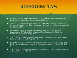 REFERENCIAS 
 Vejarano OA*, Sanabria L, RD, Trujillo L, GA.Facultad de Medicina Veterinaria y 
Zootecnia. Universidad del Tolima. Ibagué, Colombia 
 Cardozo CJ. Evaluación Reproductiva y de Fertilidad de Toros, y su Utilización 
para Aumentar la Eficiencia Reproductiva en Sistemas del Trópico Bajo, Regional 1 
C.I. Tibaitatá, 2000. 
 Manosalva B, y Col, Evaluación de Semen en Toros en la Zona Norte del 
Departamento del Tolima, Universidad del Tolima Facultad de Medicina 
Veterinaria y Zootecnia, Ibagué, 1977. 
 Steel G, Torrie J. Bioestadística, principios y procedimientos. Santa Fe de Bogotá. 
Editorial Mc Graw Hill. 1997; p.118-140. 
 Rivera M. Evaluación de Algunas Características del Eyaculado en Toros Holstein, 
En: Revista de la Facultad Nacional de Agronomía. Medellín: 1990; Vol. 43. No.1 y 2 
p.3-27 
 5.. Rodríguez F. Evaluación Reproductiva de Toros. En: Carta Ganadera. Santa Fe 
de Bogotá: 1986 No. 275 p.3-7 
 
