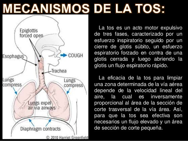 TOS, FISOPATOLOGÍA, CLASIFICACIÓN, EXAMENES Y TRATAMIENTO