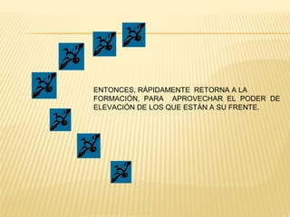 ENTONCES, RÁPIDAMENTE RETORNA A LA
FORMACIÓN, PARA APROVECHAR EL PODER DE
ELEVACIÓN DE LOS QUE ESTÁN A SU FRENTE.
 