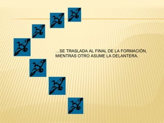 …SE TRASLADA AL FINAL DE LA FORMACIÓN,
MIENTRAS OTRO ASUME LA DELANTERA.
 