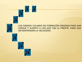 LOS GANSOS VOLANDO EN FORMACIÓN GRAZNAN PARA DAR
CORAJE Y ALIENTO A LOS QUE VAN AL FRENTE. PARA QUE
ASÍ MANTENGAN LA VELOCIDAD.
 