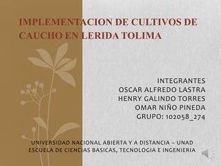 IMPLEMENTACION DE CULTIVOS DE
CAUCHO EN LERIDA TOLIMA



                                     INTEGRANTES
                            OSCAR ALFREDO LASTRA
                            HENRY GALINDO TORRES
                               OMAR NIÑO PINEDA
                                GRUPO: 102058_274


  UNIVERSIDAD NACIONAL ABIERTA Y A DISTANCIA – UNAD
 ESCUELA DE CIENCIAS BASICAS, TECNOLOGIA E INGENIERIA
 