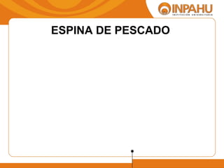 ESPINA DE PESCADO 