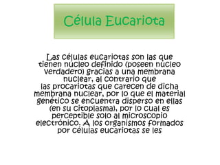 Célula Eucariota

    Las células eucariotas son las que
 tienen núcleo definido (poseen núcleo
   verdadero) gracias a una membrana
         nuclear, al contrario que
  las procariotas que carecen de dicha
membrana nuclear, por lo que el material
genético se encuentra disperso en ellas
     (en su citoplasma), por lo cual es
      perceptible solo al microscopio
electrónico. A los organismos formados
       por células eucariotas se les
 