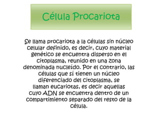 Célula Procariota

Se llama procariota a la células sin núcleo
 celular definido, es decir, cuyo material
   genético se encuentra disperso en el
      citoplasma, reunido en una zona
denominada nucleído. Por el contrario, las
       células que sí tienen un núcleo
       diferenciado del citoplasma, se
    llaman eucariotas, es decir aquellas
  cuyo ADN se encuentra dentro de un
 compartimiento separado del resto de la
                   célula.
 