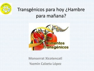 Transgénicos para hoy ¿Hambre
para mañana?
Monserrat Xicotencatl
Yazmin Calzeta López
 