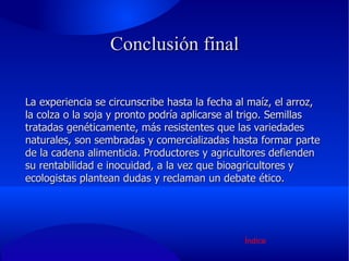 La experiencia se circunscribe hasta la fecha al maíz, el arroz, la colza o la soja y pronto podría aplicarse al trigo. Semillas tratadas genéticamente, más resistentes que las variedades naturales, son sembradas y comercializadas hasta formar parte de la cadena alimenticia. Productores y agricultores defienden su rentabilidad e inocuidad, a la vez que bioagricultores y ecologistas plantean dudas y reclaman un debate ético. Conclusión final Índice 