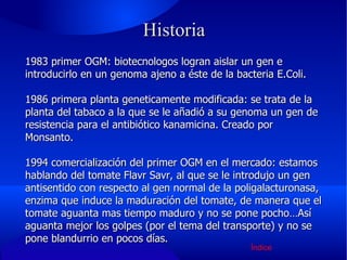 Historia 1983 primer OGM: biotecnologos logran aislar un gen e introducirlo en un genoma ajeno a éste de la bacteria E.Coli. 1986 primera planta geneticamente modificada: se trata de la planta del tabaco a la que se le añadió a su genoma un gen de resistencia para el antibiótico kanamicina. Creado por Monsanto. 1994 comercialización del primer OGM en el mercado: estamos hablando del tomate Flavr Savr, al que se le introdujo un gen antisentido con respecto al gen normal de la poligalacturonasa, enzima que induce la maduración del tomate, de manera que el tomate aguanta mas tiempo maduro y no se pone pocho…Así aguanta mejor los golpes (por el tema del transporte) y no se pone blandurrio en pocos días. Índice 